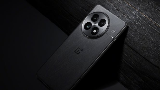 oneplus 13