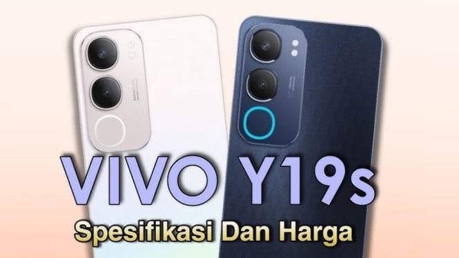 Vivo Y19s