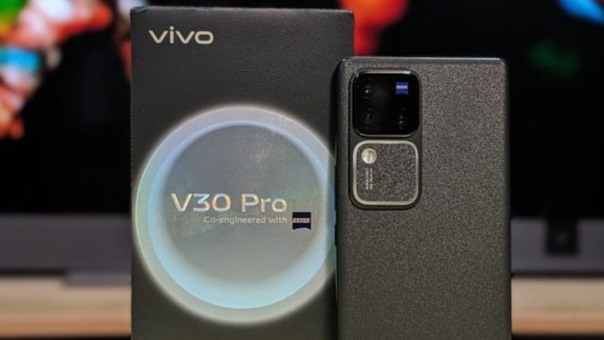 Vivo V30 Pro