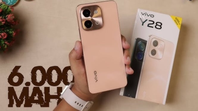 Vivo Y28