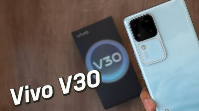 Vivo V30
