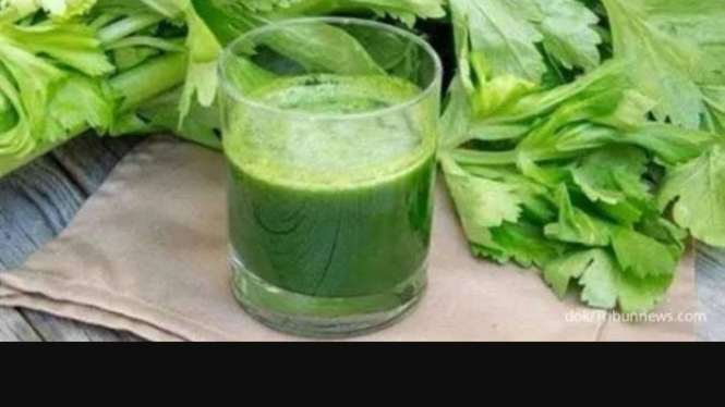 Daun seledri