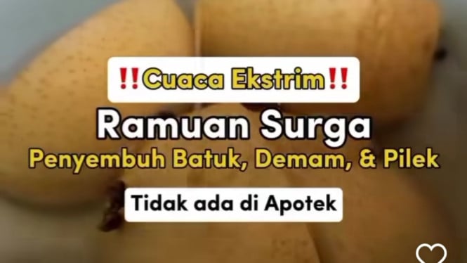 Ramuan surga ala dr Zaidul Akbar