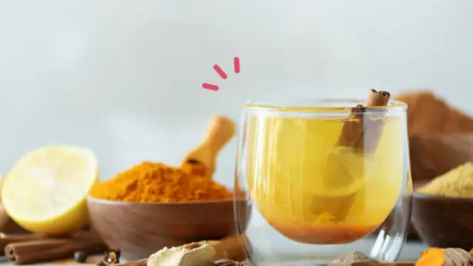 Resep herbal amunisi imun booster al dr Zaidul Akbar