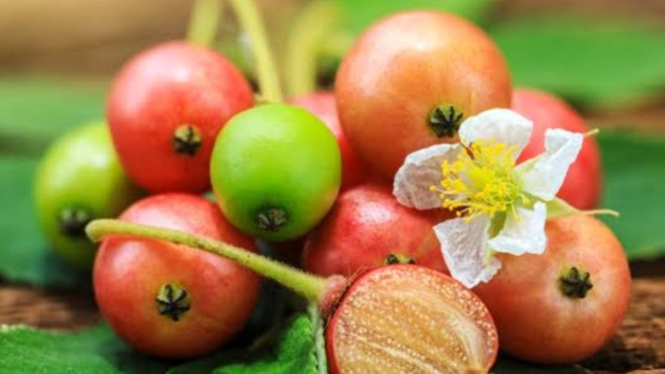 Buah kersen