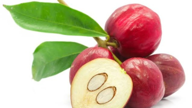 Buah mahkota dewa