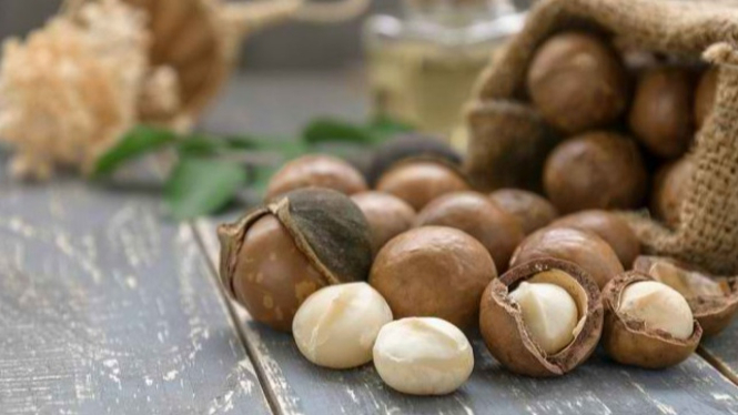 kacang macadamia