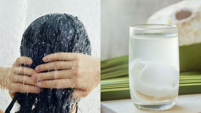 keramas dengan air kelapa