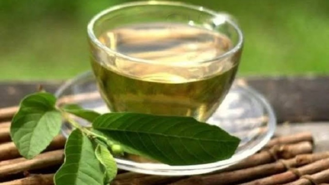 Daun jambu biji