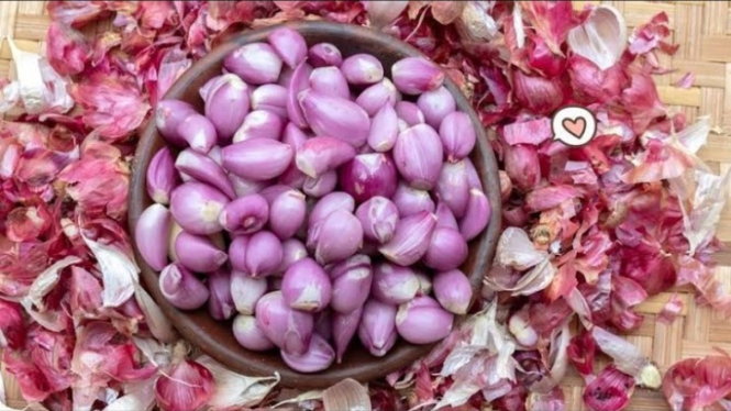 Kulit bawang merah