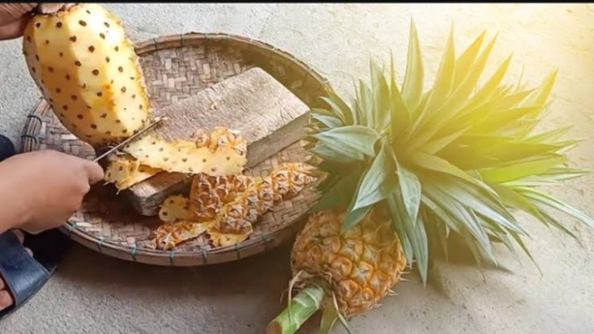 Kulit nanas