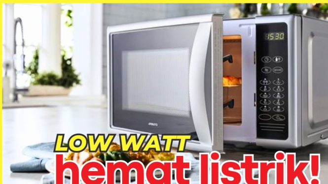 Rekomendasi microwave