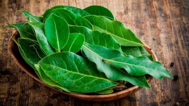 Menyimpan Daun Salam