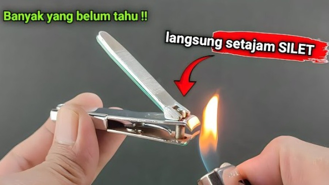 Pemotong Kuku