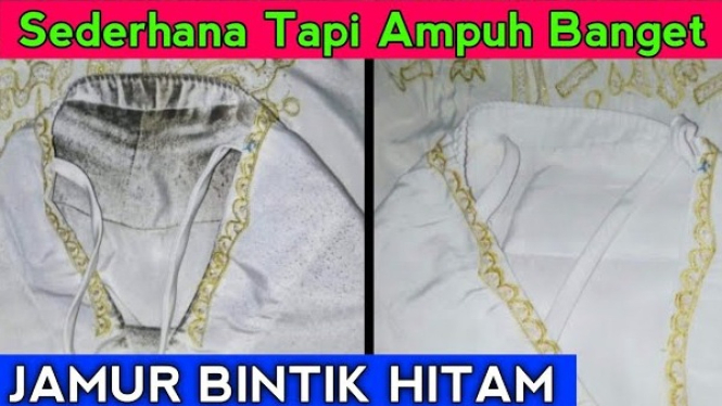 Jamur Baju