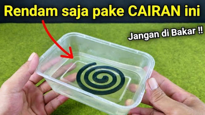 Cara Ampuh Usir Nyamuk Tanpa Asap