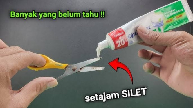 Trik Praktis Mengasah Gunting Tumpul