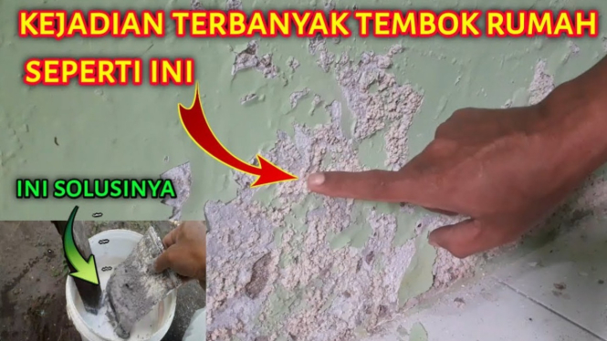tips cata tembok mengelupas