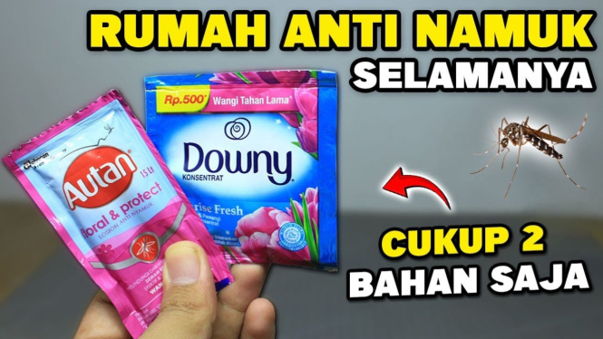 Pewangi ruangan buatan sendiri