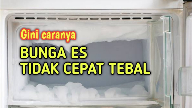 Cara bunga es kulkals tidak cepat tebal