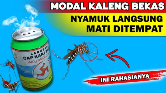Cara Ubah Kaleng Bekas Basmi Nyamuk