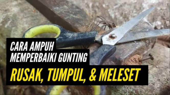 Cara Mudah Memperbaiki Gunting Rusak Tanpa Beli Baru