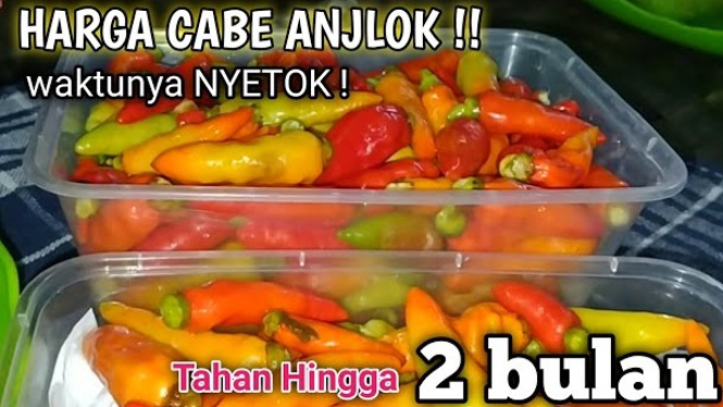 Cara Menyimpan Cabai agar Tidak Busuk