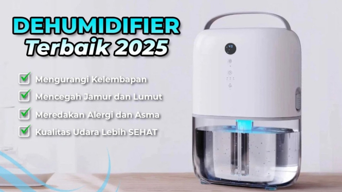 Rekomendasi dehumidifier terbaik