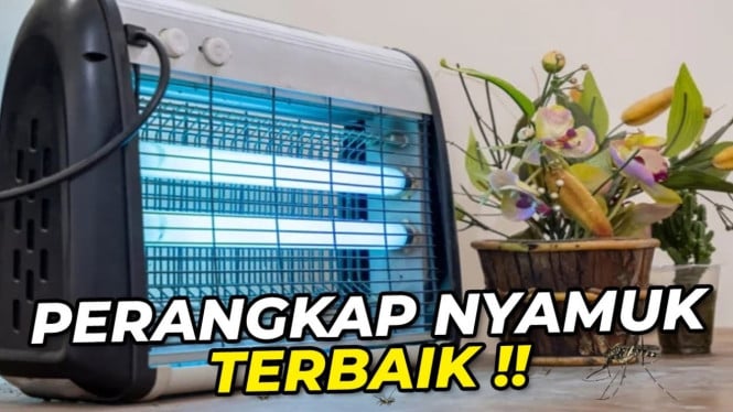 Perangkap nyamuk terbaik