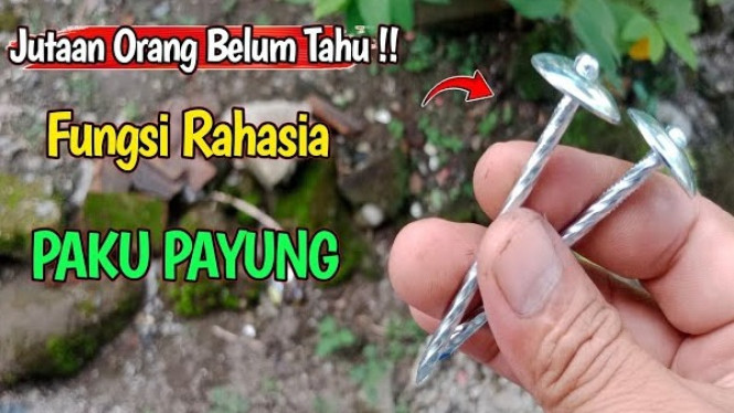 Fungsi Paku Payung