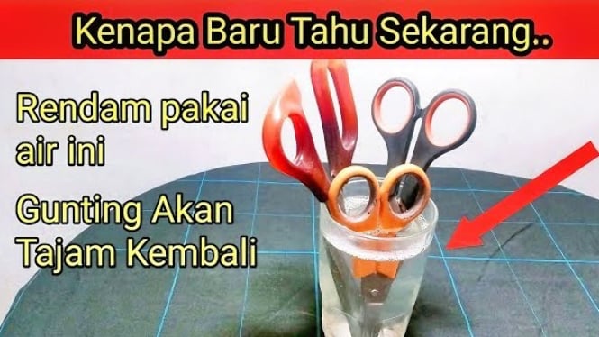 Cara Menajamkan Gunting