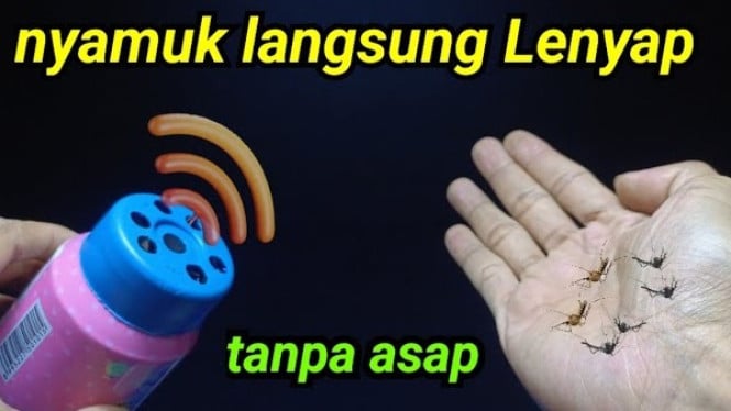 Cara Mengusir Nyamuk