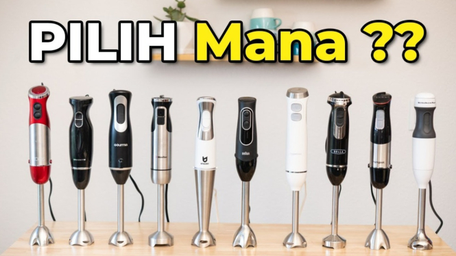 Hand blender food grade