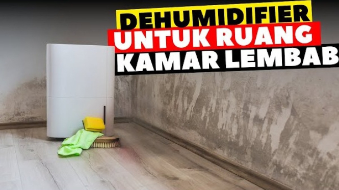 Rekomendasi Dehumidifier Ini Solusi Ampuh untuk Rumah Sehat!