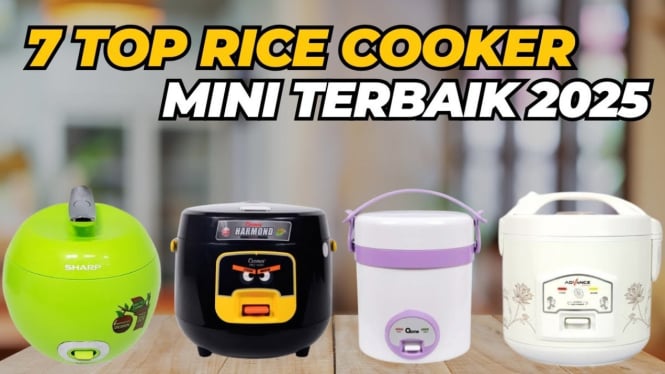Rice cooker mini
