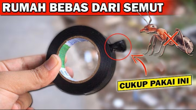 Lakban dan Semut