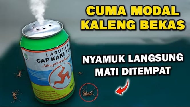Kaleng dan Nyamuk