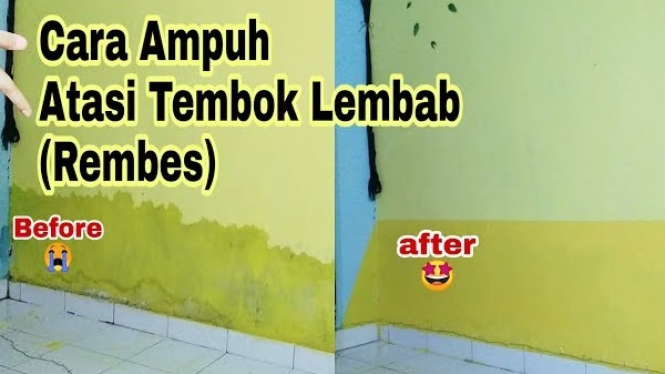 Cara Mengatasi Tembok Lembab