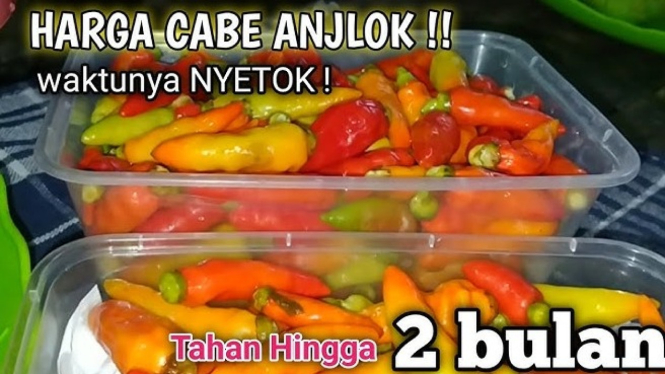 Cara Simpan Cabai di Kulkas Awet 2 Bulan