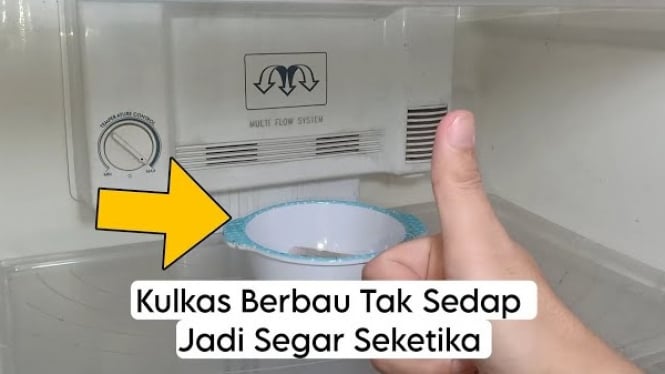 Trik Apas Teh Atasi Kulkas Bau