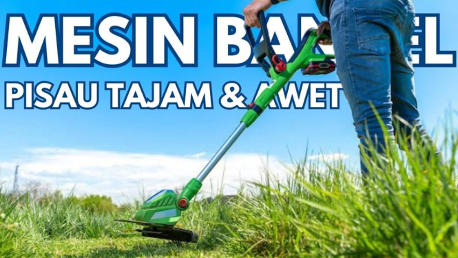 Rekomendasi Mesin Potong Rumput