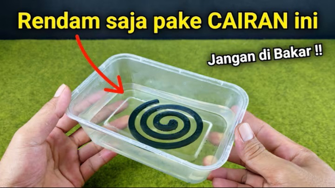 Obat Nyamuk
