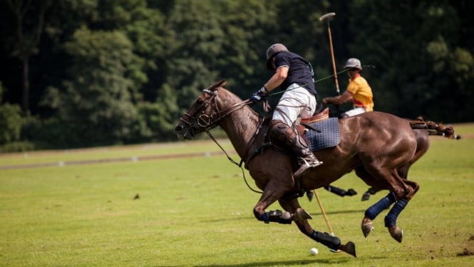 Polo Berkuda