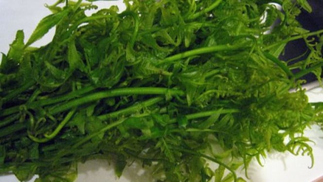 Sayur Pakis