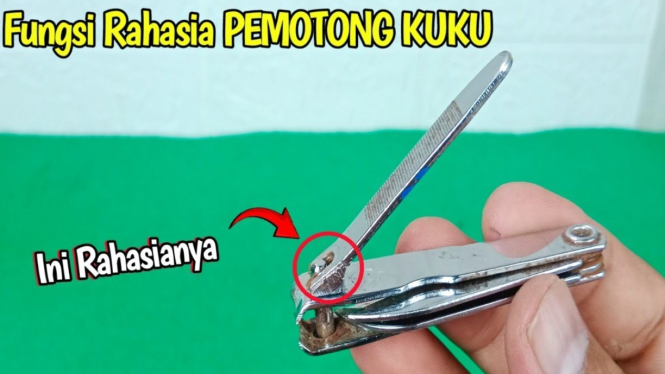 Fungsi Pemotong Kuku