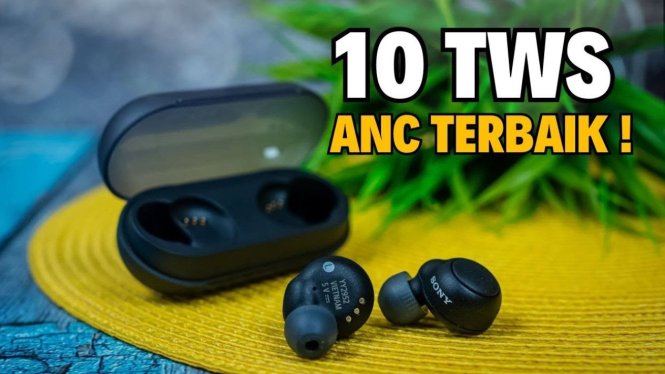 Rekomendasi TWC ANC terbaik