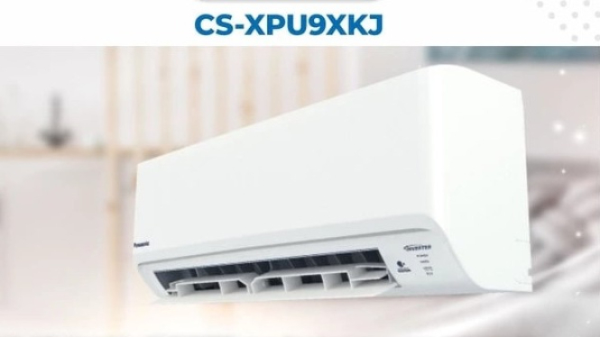 Panasonic Deluxe Inverter