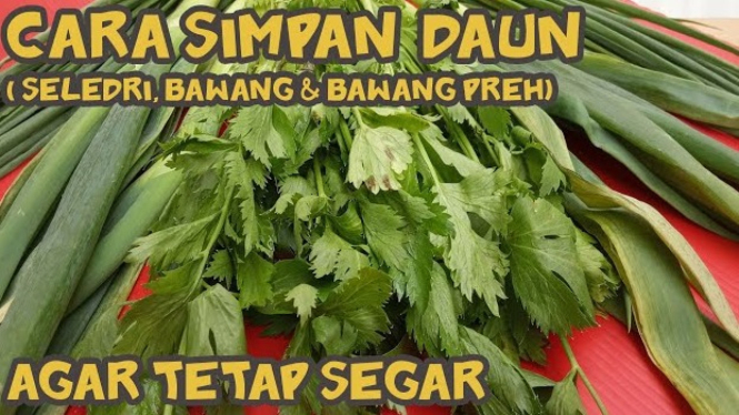 Rahasia Simpan Seledri, Daun Bawang, dan Prei Tetap Segar