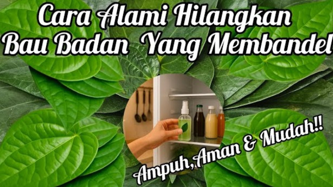 Trik Daun Sirih Atasi Bau Badan