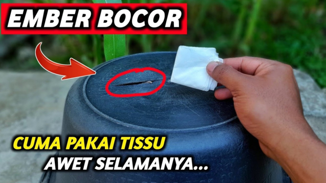 Tips Ember Bocor